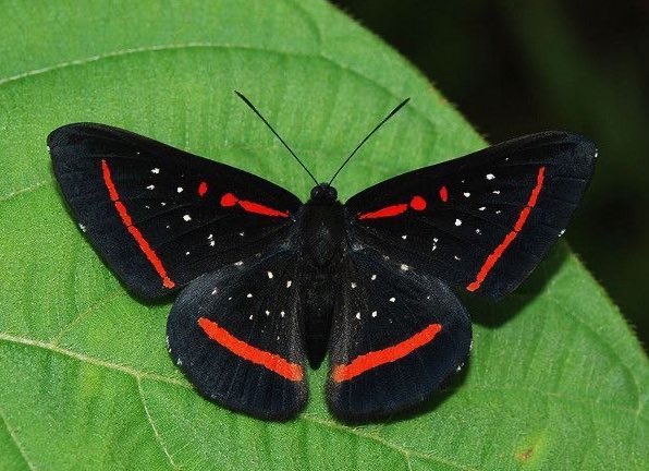 📎 (@iithosphere) on Twitter photo 