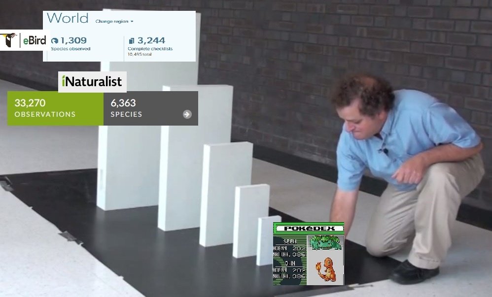 Steven 🇮🇩 🇺🇸 🍉(neontetraploid on IG) (@neontetraploid) on Twitter photo 