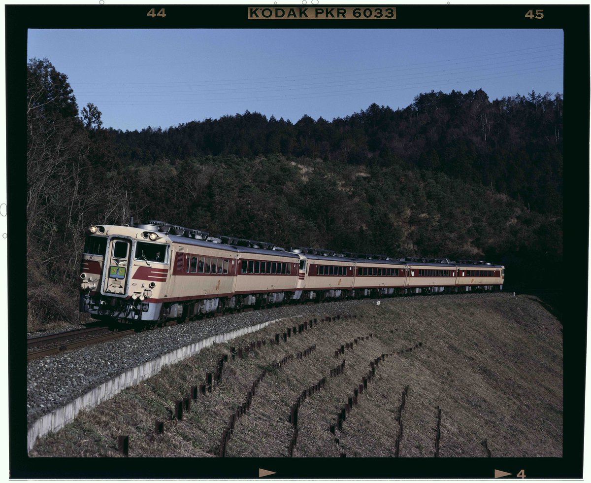 teinentetsu's tweet image. #みんなでJR東海の写真を出す展覧会
キハ82系「南紀」と「ひだ」（再掲）。オレンジ色のJRステッカーが特徴だった。