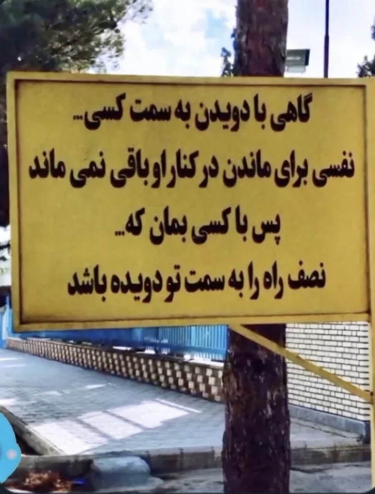 Moein tweet media
