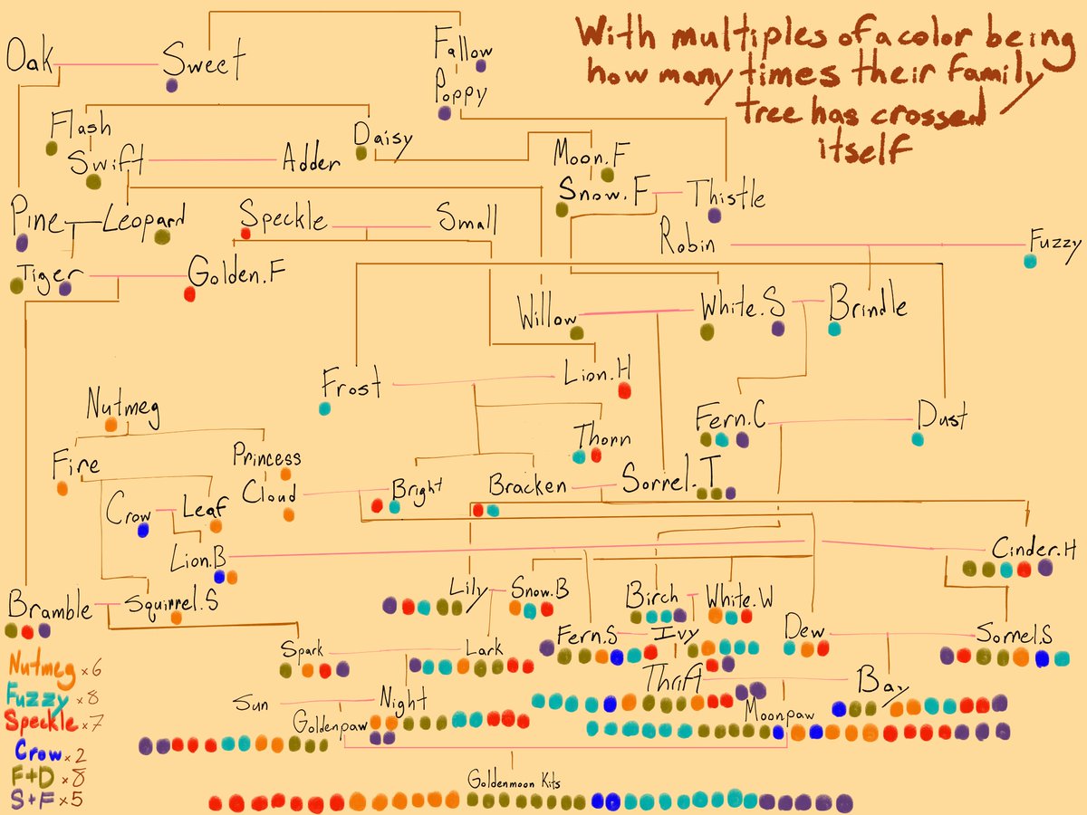 Rudy (mentary) tweet media