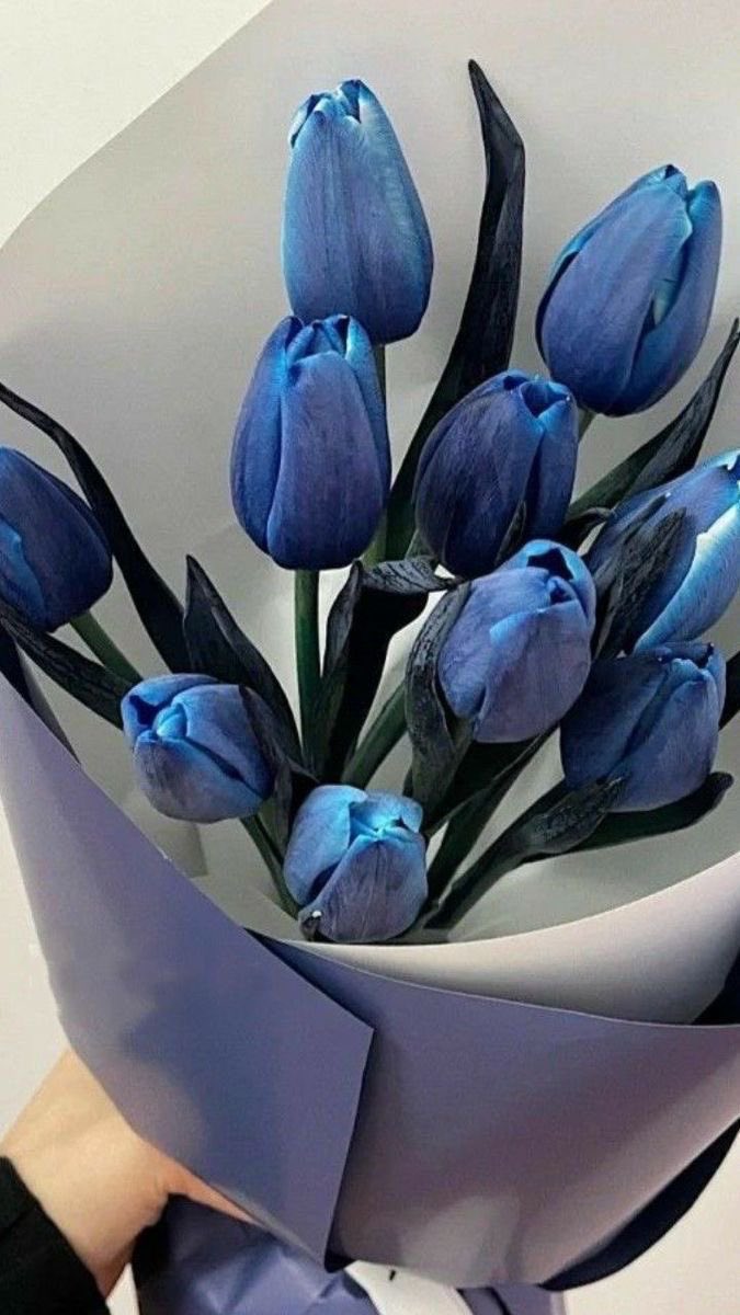 i3Moment's tweet image. Blue tulips