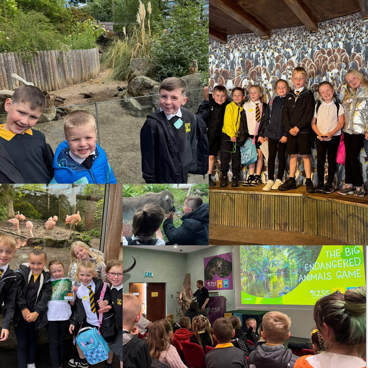 Miss Smith tweet media