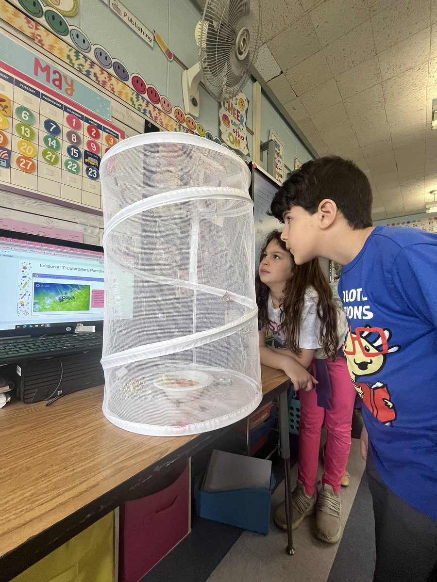 Our caterpillars became butterflies today! 🐛🦋 🐛🦋 <a href="/School9E/">School 9E</a>