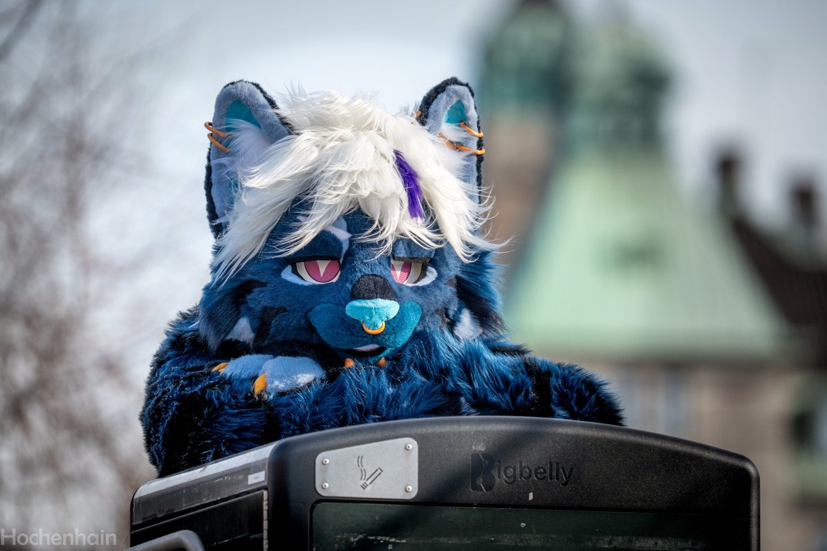 Hochenhain's tweet image. Soak in the vibe of this pic — just relax and chill out.
@fritzicato    
#Furry #Fursuit #NFC25