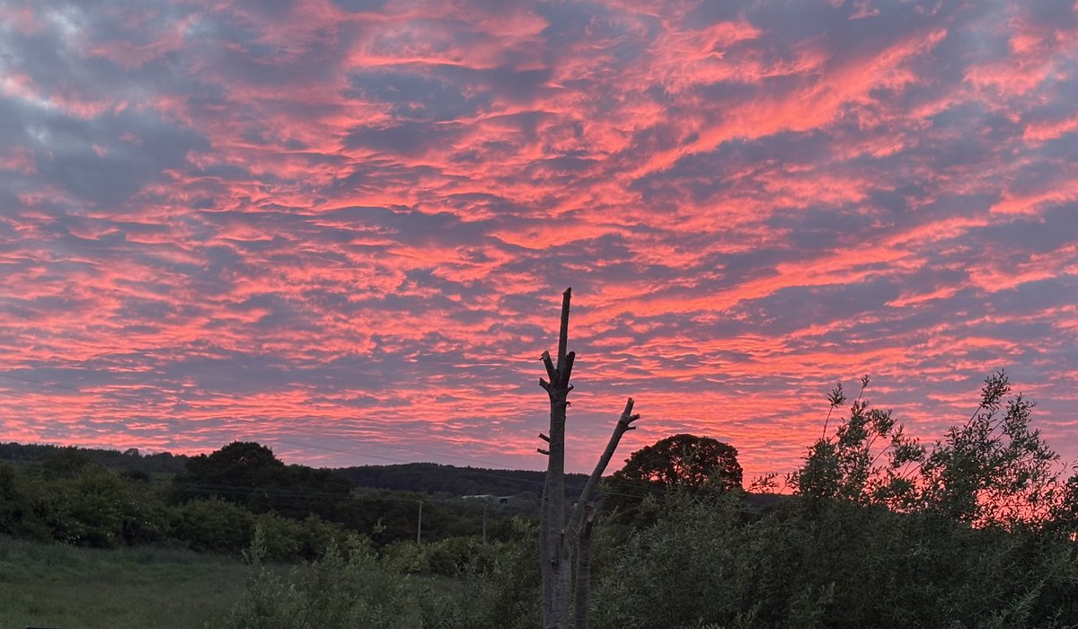 thomastippie's tweet photo. #beautifulsky#redskyatnight
#redpatchworksky https://t.co/0GxCARX3ws