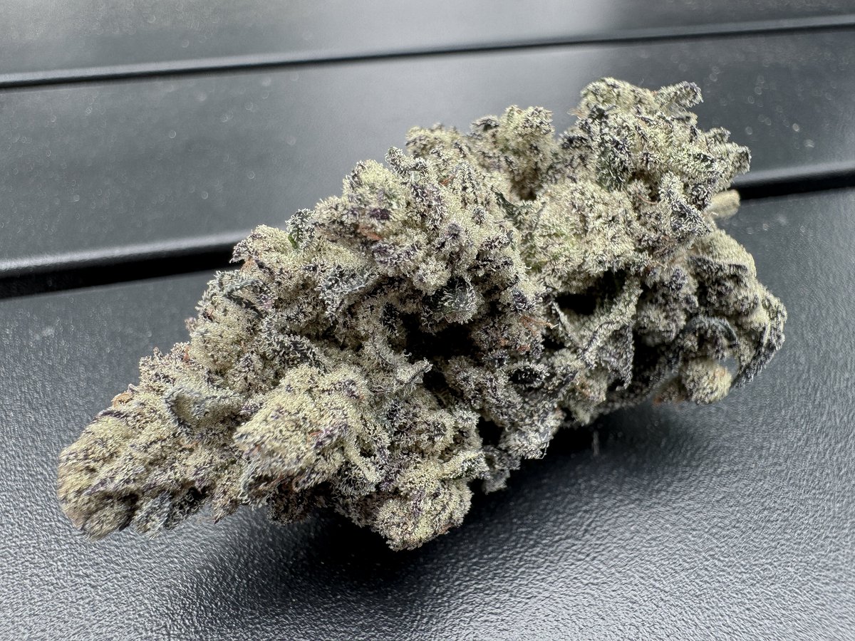 🪤😂Eucalypto
Trap God x Giggle Gas

Some more Eucalypto buds for the Solfam tonight🔥straight from ShadedFrostee at the Solfire discord