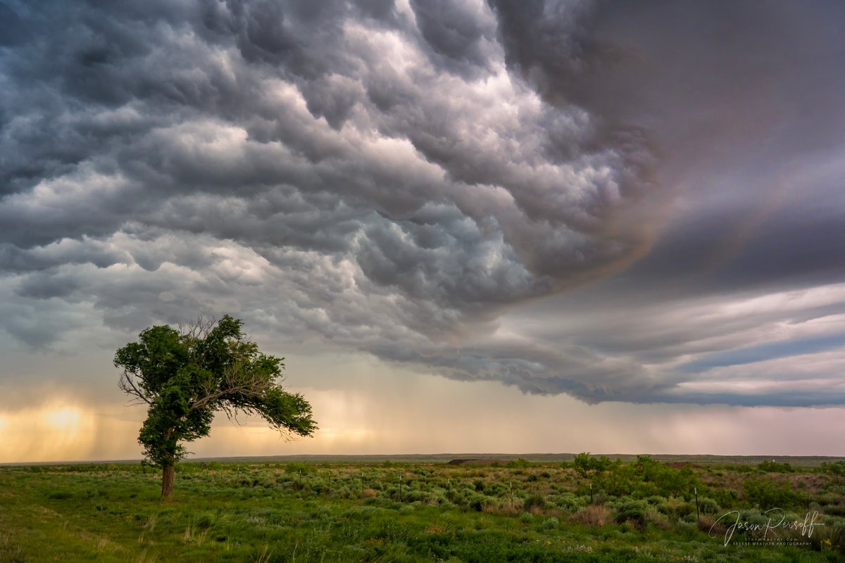 The shelf cloud with whale's mouth north of Tucumcari NM 5.26.25 was spectacular at sunset. #nmwx #wxtwitter