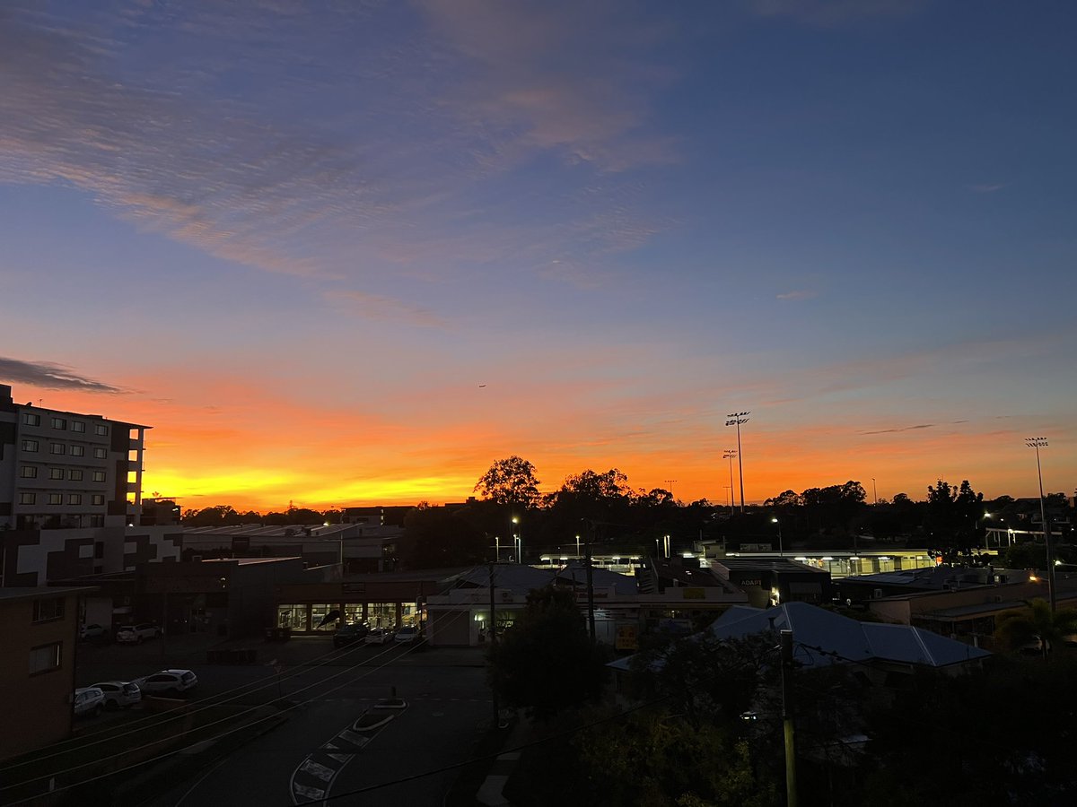 William Wallace tweet media