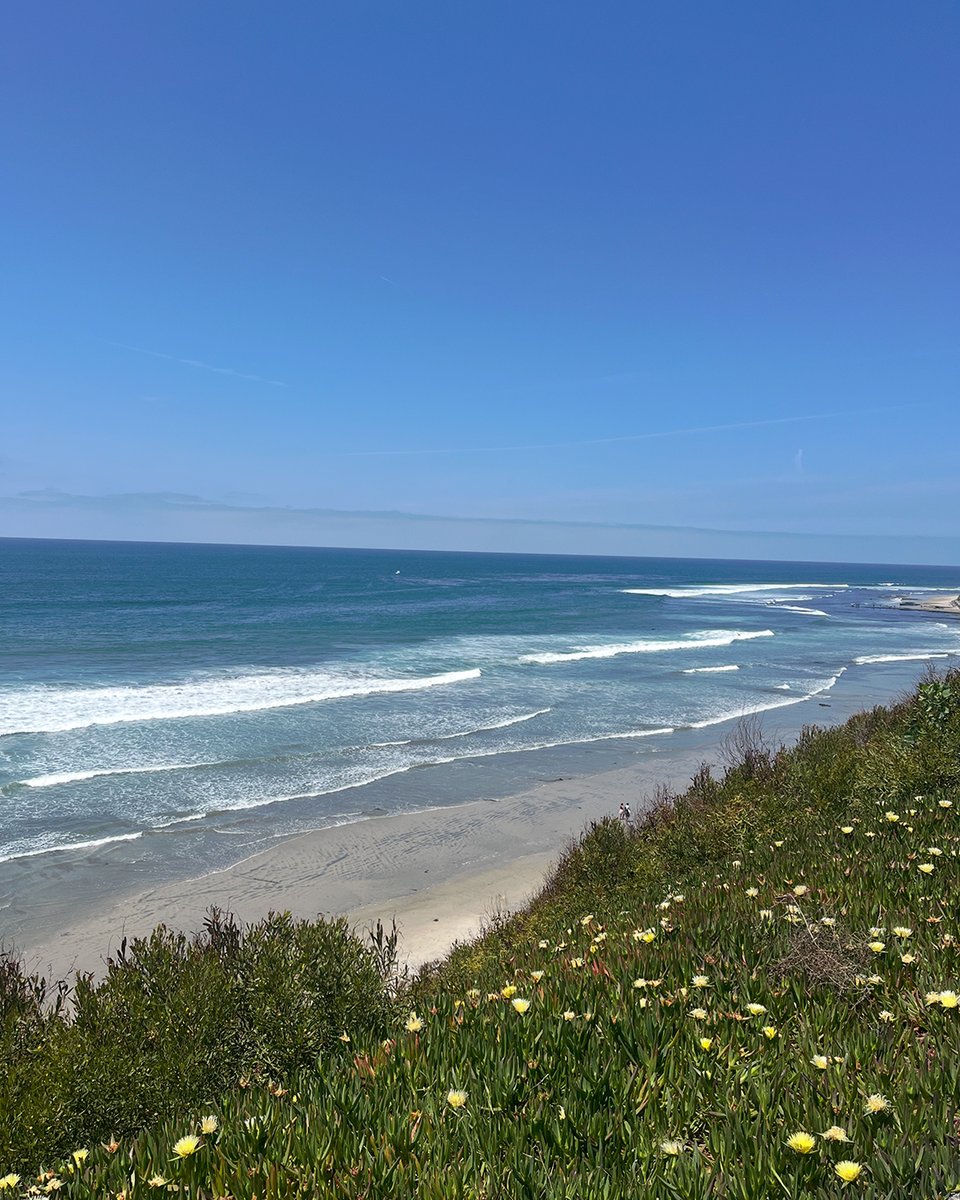 Sunshine on our mind 🌞