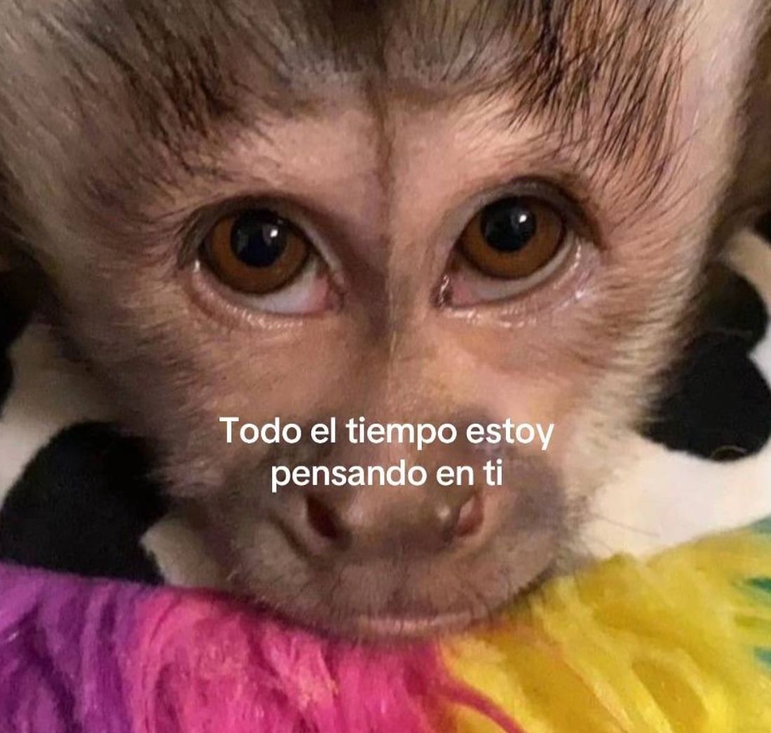 vibes (@vibesfyp) on Twitter photo 