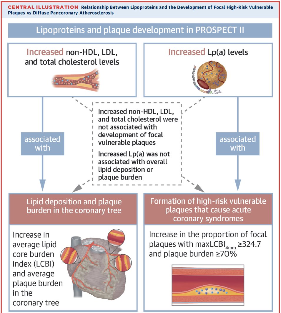 GreggWStone's tweet image. Our JACC publ from PROSPECT II. ↑ TC, LDL-C, &amp; non-HDL-C were strongly associated with pancoronary athero and lipid deposition. ↑ Lp(a) was strongly associated with focal vulnerable plaques→unique role for Lp(a) role in plaque progression &amp; vulnerability -synergistic with LDL.