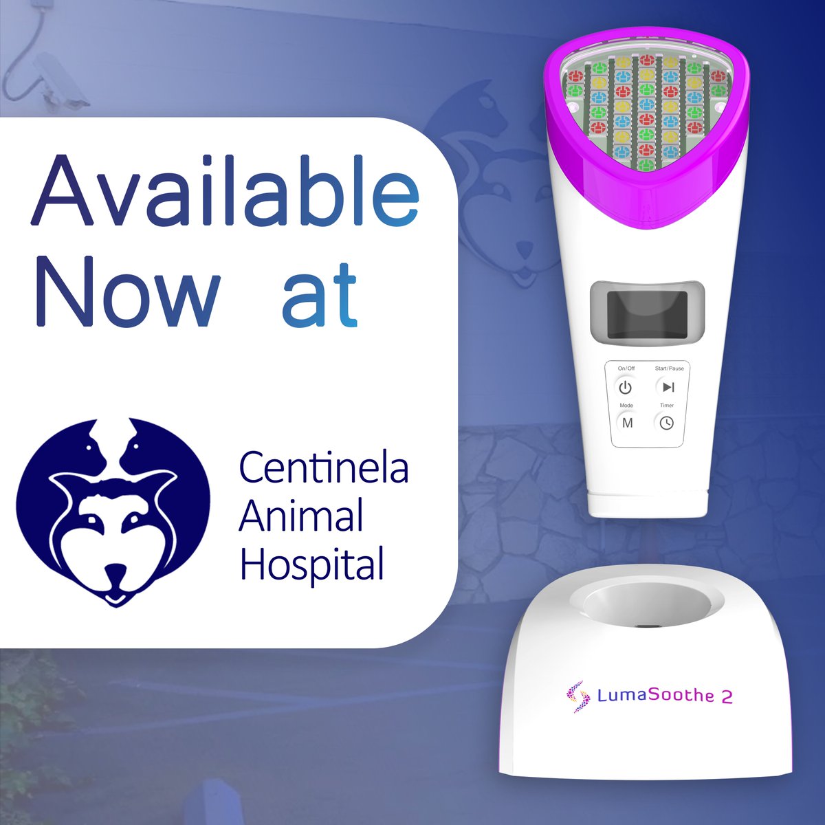 LumaSoothe's tweet photo. LumaSoothe 2 is now available at Centinela Animal Hospital in Inglewood, CA🐾 Trusted by Dr. Richard Palmquist, DVM, it’s a safe, non-invasive way to support your pet’s wellness. Call 888-568-2738 or visit https://t.co/9azEfUQGRK to learn more

#PetCare #LumaSoothe @DrRPalmquist https://t.co/vjpy83Cwjp