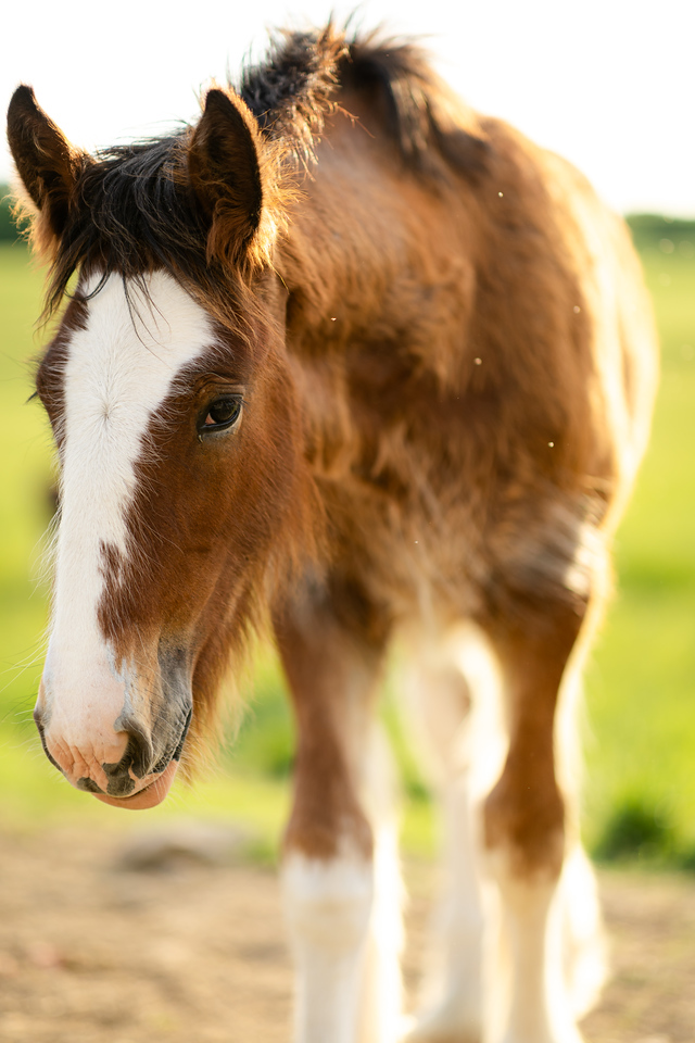 Comment a ☀️ below if you're outside enjoying some sun today!