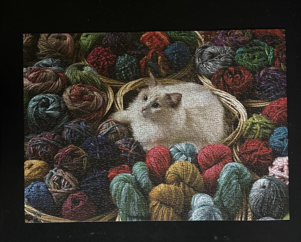 Holly Purr⚜️ (@littlemainecoon) on Twitter photo Mommy and I just finished this puzzle! She says the kitty in the picture looks like the kitty she had before me. Isn’t it neat how many different kinds of fur we can have?
<a href="/MaineCoonCatsOH/">Reny, Cat Nip Enthusiast</a> <a href="/JusticeToAll/">JusticeToAll ~ 🙏 🇺🇦 ⚖️ 🚀</a> <a href="/GeneralCattis/">"Mad Cat" Cattis</a> <a href="/Robin2020Rockin/">Nyx Cat black panfur goddess of the night</a> Mommy and I just finished this puzzle! She says the kitty in the picture looks like the kitty she had before me. Isn’t it neat how many different kinds of fur we can have?
<a href="/MaineCoonCatsOH/">Reny, Cat Nip Enthusiast</a> <a href="/JusticeToAll/">JusticeToAll ~ 🙏 🇺🇦 ⚖️ 🚀</a> <a href="/GeneralCattis/">"Mad Cat" Cattis</a> <a href="/Robin2020Rockin/">Nyx Cat black panfur goddess of the night</a>