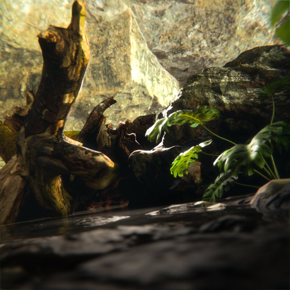 Renders, made in blender, post production in Photoshop and Lightroom