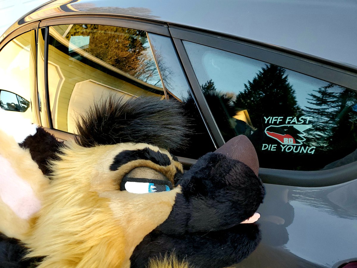 QRT fursuit + what they drive all in one

I need to take new pics instead of reusing these, esp wit my more recent emo aesthetic lmao
🔥👌