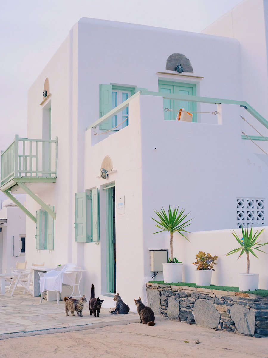 Natsuho Yamanaka tweet media