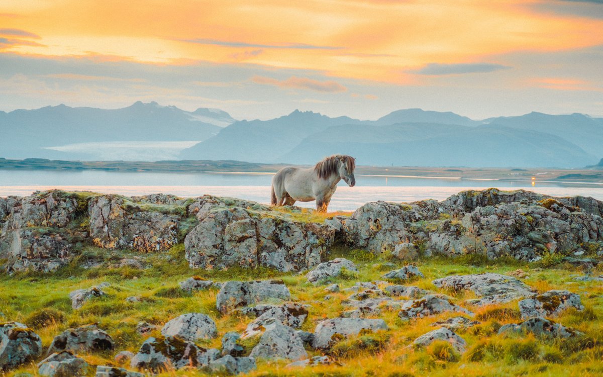 jeffmihaly's tweet photo. stills from Iceland https://t.co/u9T17GXUkk