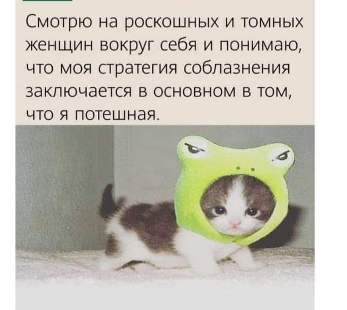 largetni12's tweet image. Каково это встречаться со мной