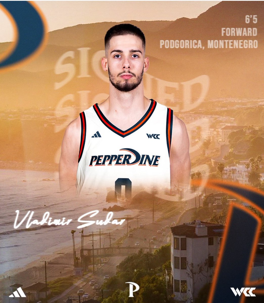 Arman Jovic tweet media