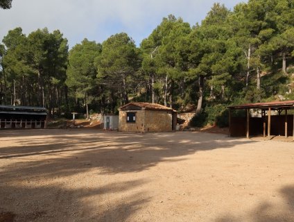 naciobpenedes's tweet image. El tradicional Aplec del #Montmell se celebrarà el diumenge 8 de juny a l'Àrea Recreativa del Montmell, en un entorn envoltat de natura. A les 12:30 Obertura de la nova església de Sant Miquel. Per dinar fideuada popular i dinar infantil. Seguidament Ball amb Almas Gemelas.