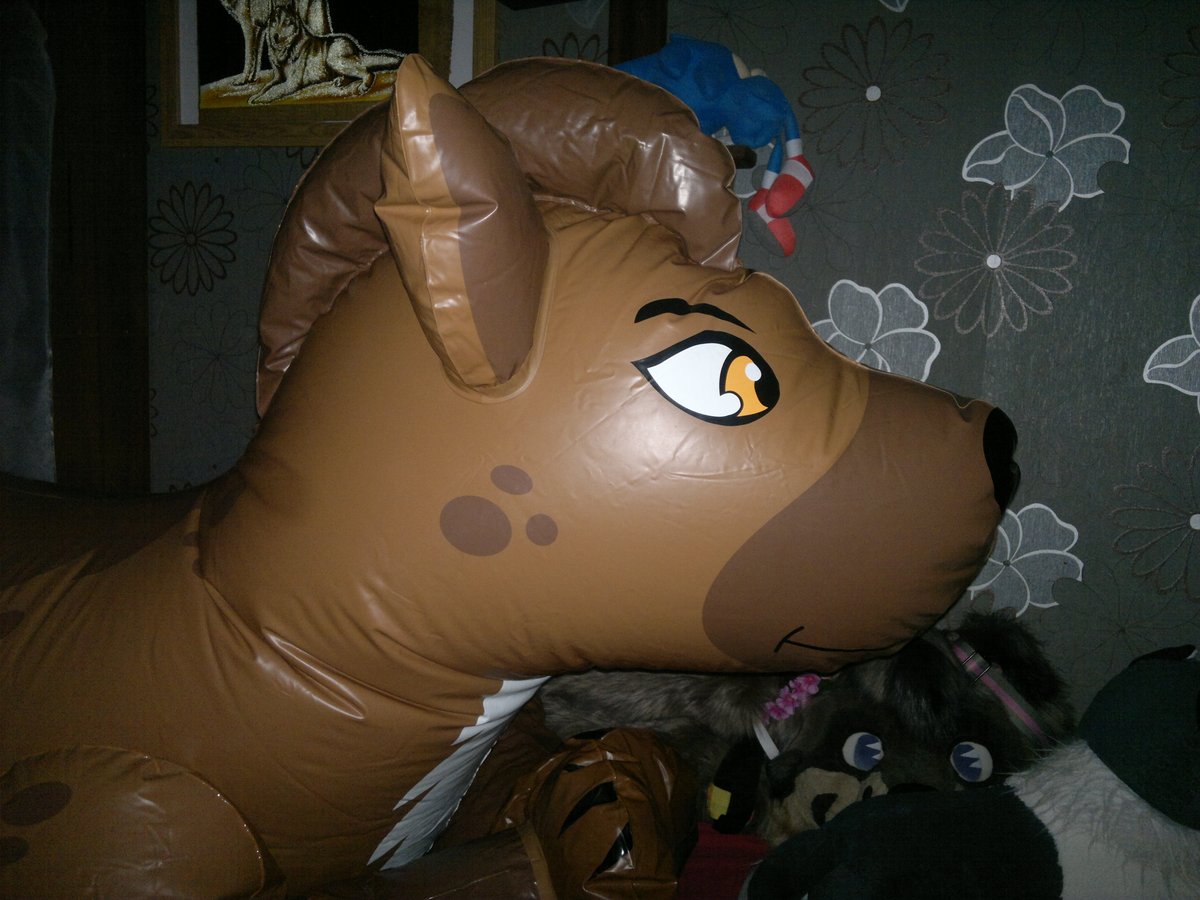 Took this pic on a 2010 Nokia N8. Honestly it doesn't look much worse than today's phones, tho LED flashes have gone a long way since then - this one's xenon
#pooltoys #squeaks #inflatable