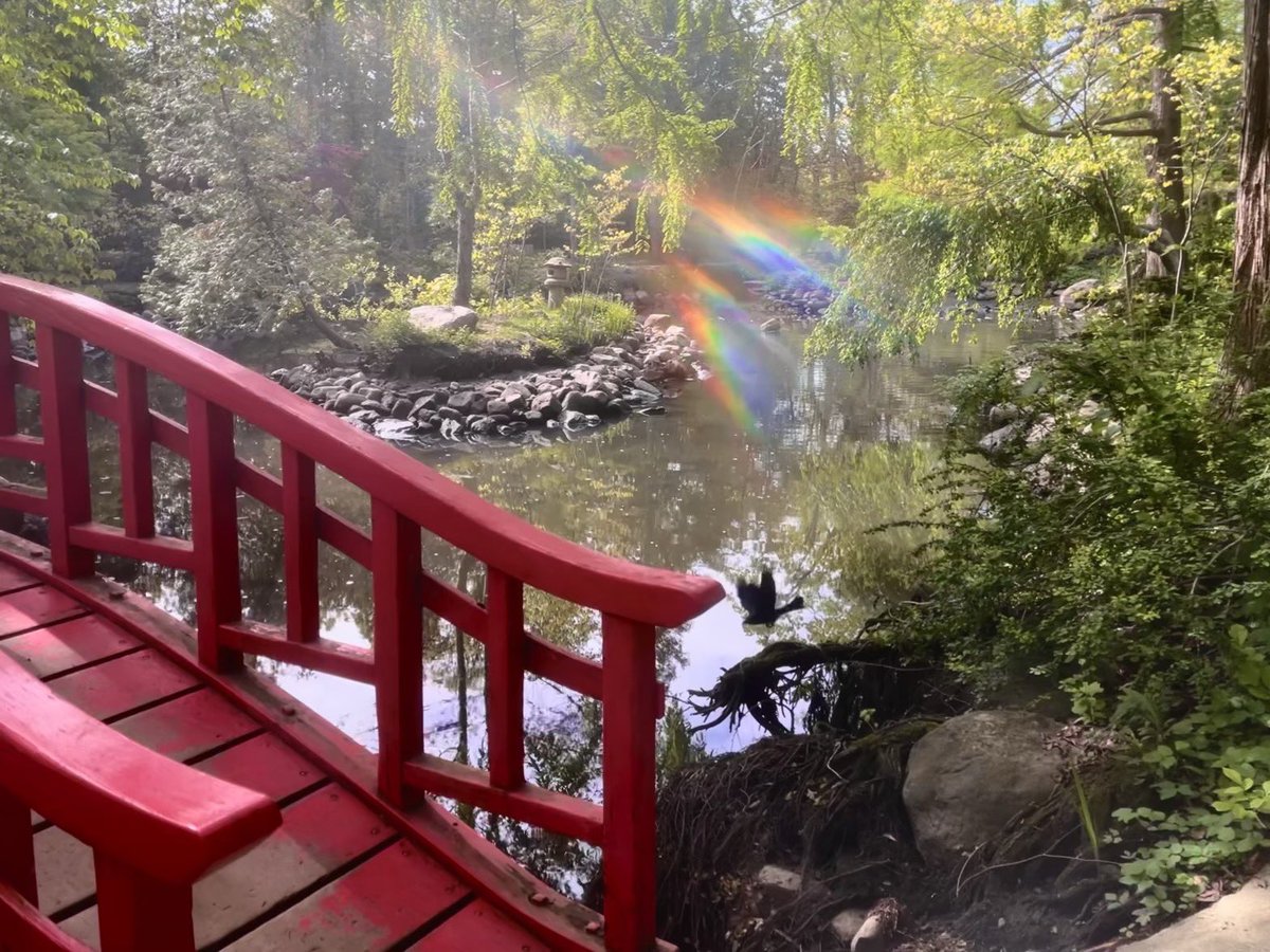 Murphy,Ashley tweet media