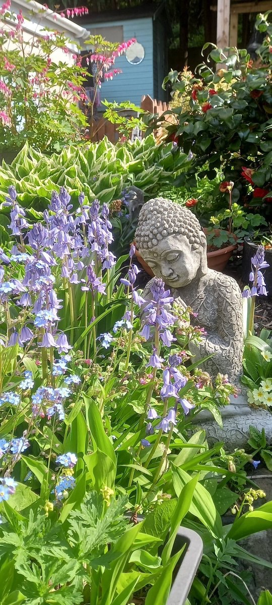 mystic poetry (@mysticpoetry) on Twitter photo "The mind can go in a thousand directions, but on this beautiful path I walk in peace."
- Thich Nhat Hanh
#peace #poetry
#mysticpoetry
photo: <a href="/TaoGardening/">The Tao Of Gardening</a> "The mind can go in a thousand directions, but on this beautiful path I walk in peace."
- Thich Nhat Hanh
#peace #poetry
#mysticpoetry
photo: <a href="/TaoGardening/">The Tao Of Gardening</a>