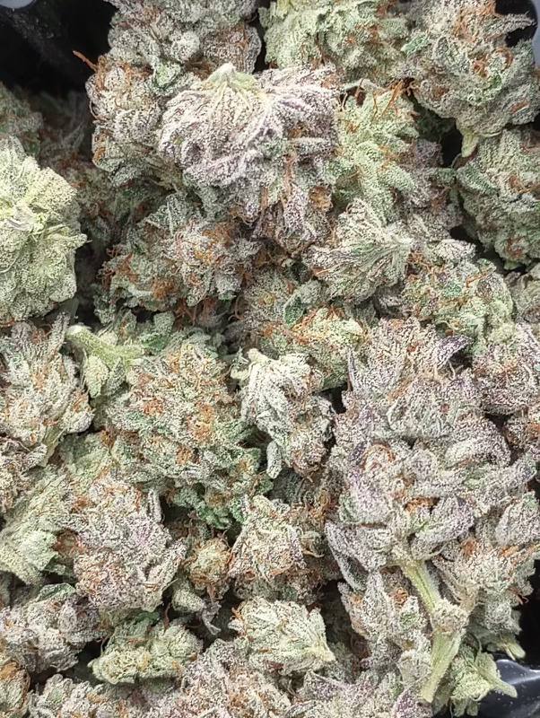dankdepott's tweet photo. Will you grab a p for $100 here https://t.co/kfgDl01Y3W