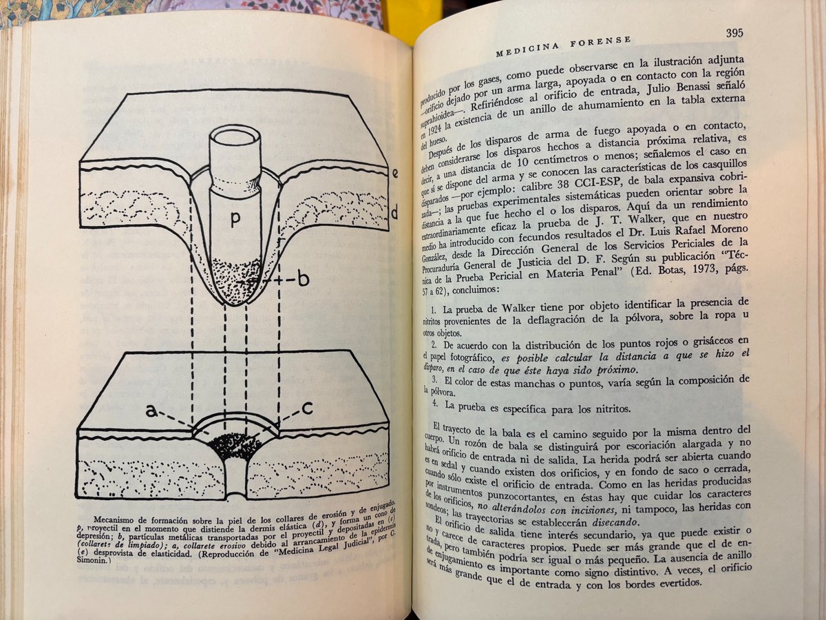 "Medicina Forense" de Alfonso Quiroz Cuarón es el manual con el que se formaron generaciones de peritos y detectives. Balística, huellas, cuerpos flotantes, venenos, heridas, autopsias, manos de ahogados, trayectorias de bala, ancianos prehispánicos empinando el codo ($400).