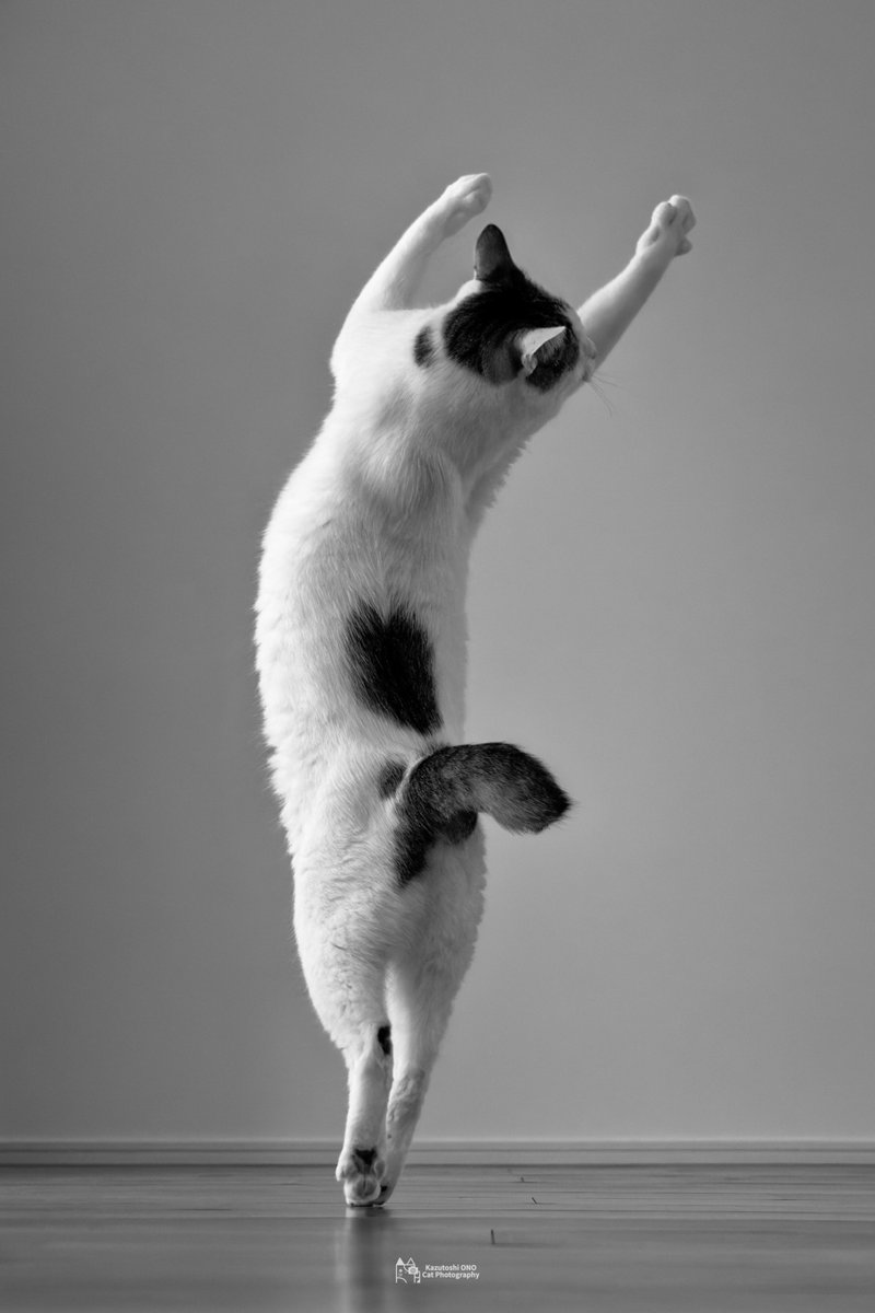 バレエダンサー