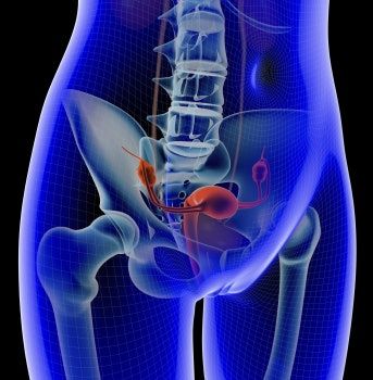 AuntMinnie.com (@auntminnie) on Twitter photo Arterial contrast extravasation on CT helps manage postpartum hemorrhage #radiology #CT #postpartumhemmorhage <a href="/kumamotoUniv_PR/">熊本大学 Kumamoto University</a> buff.ly/ANbjM6W Arterial contrast extravasation on CT helps manage postpartum hemorrhage #radiology #CT #postpartumhemmorhage <a href="/kumamotoUniv_PR/">熊本大学 Kumamoto University</a> buff.ly/ANbjM6W