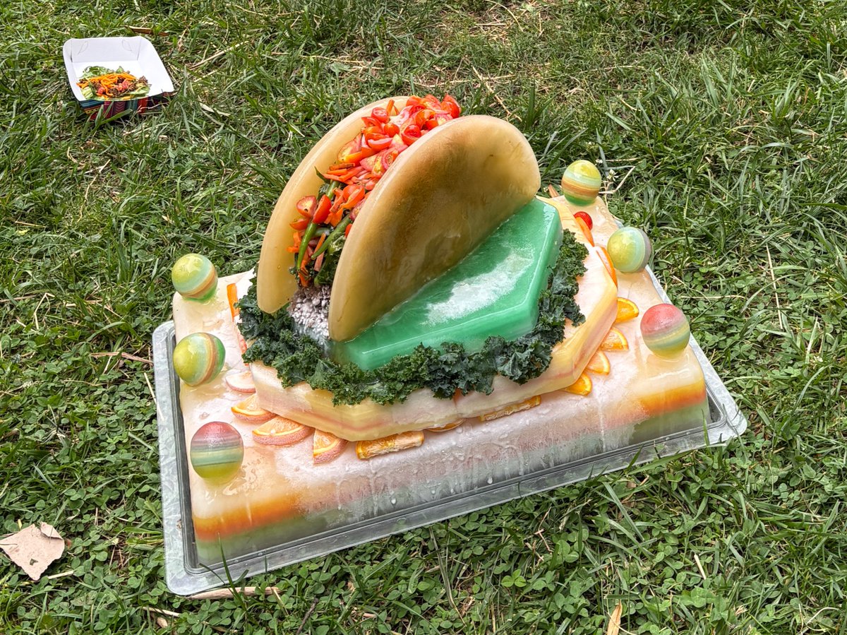 🎉🦍 Feliz cumpleaños, Zahra! Today, our youngest western lowland gorilla celebrated her second birthday with a “Taco Two-sday” birthday bash at the Great Ape House. Joining in on the fiesta were her mom Calaya, dad Baraka, big brother Moke and troopmates Mandara and Kibibi. 
. .