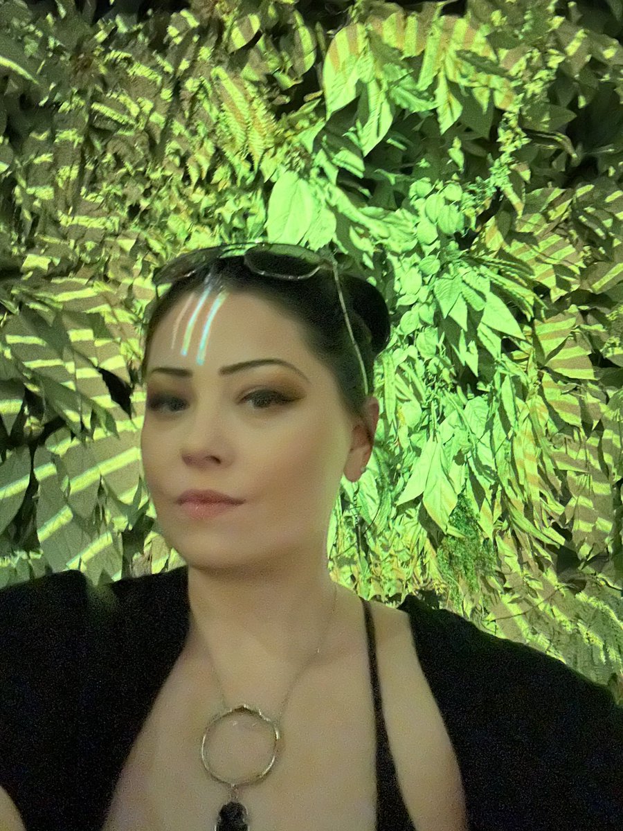 MeowWolf Vibes 💚💚💚