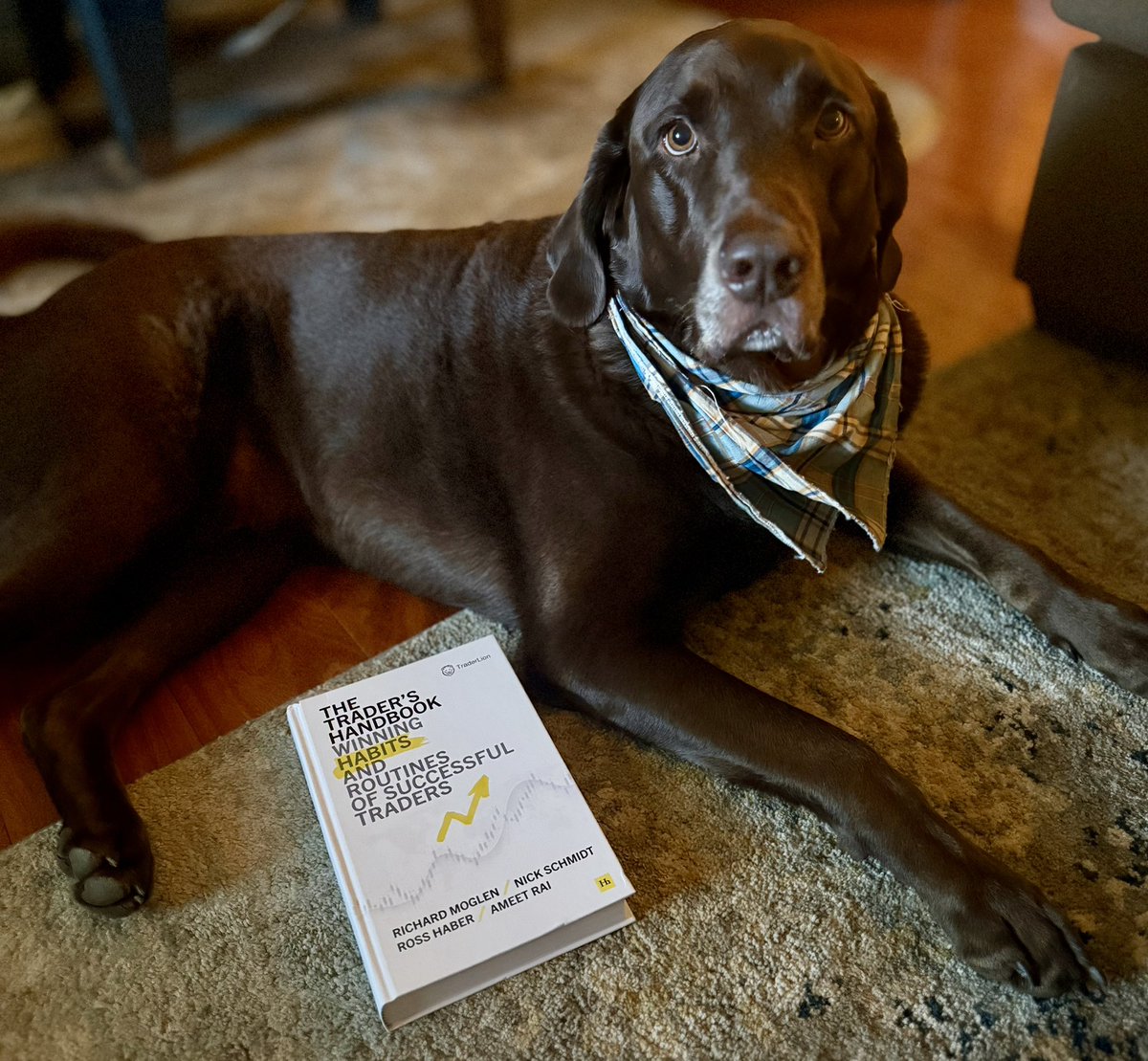 Jesse New (@jessejamesnew) on Twitter photo Just got the hard copy of The Trader’s Handbook by <a href="/TraderLion_/">TraderLion</a> as well. Biscuit is starting his journey towards a Stage 4 trader. Just got the hard copy of The Trader’s Handbook by <a href="/TraderLion_/">TraderLion</a> as well. Biscuit is starting his journey towards a Stage 4 trader.