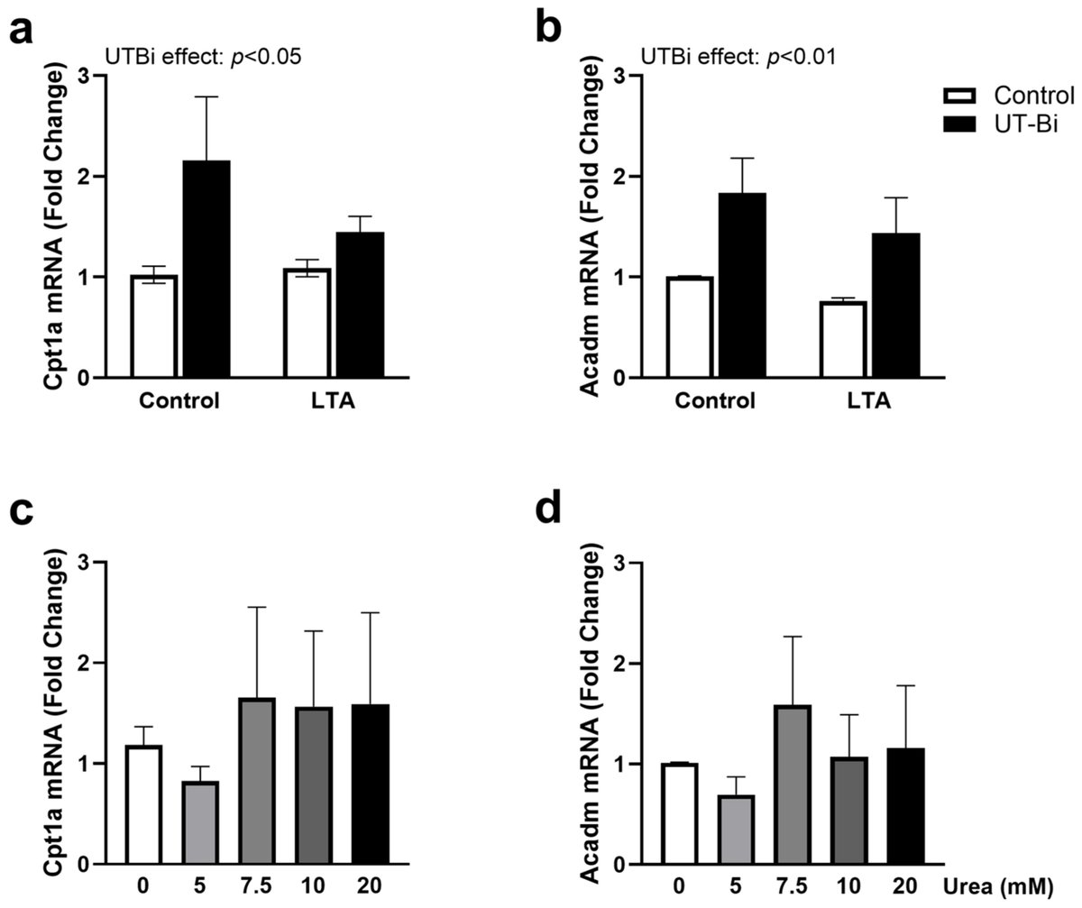 MetabolitesMDPI's tweet image. 🌟 #LastestPaper
📖#Modulation of #Urea #Transport #Attenuates TLR2-Mediated #Microglial #Activation and #Upregulates #Microglial #Metabolism In Vitro
🧑🏻🔬By Dr. Derek A. Costello and colleagues.
🔗mdpi.com/2218-1989/14/1…