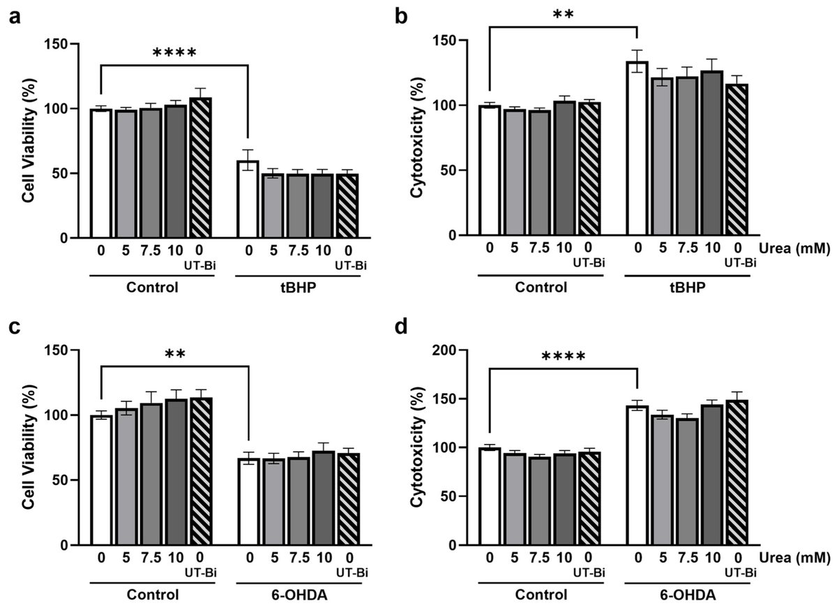 MetabolitesMDPI's tweet image. 🌟 #LastestPaper
📖#Modulation of #Urea #Transport #Attenuates TLR2-Mediated #Microglial #Activation and #Upregulates #Microglial #Metabolism In Vitro
🧑🏻🔬By Dr. Derek A. Costello and colleagues.
🔗mdpi.com/2218-1989/14/1…