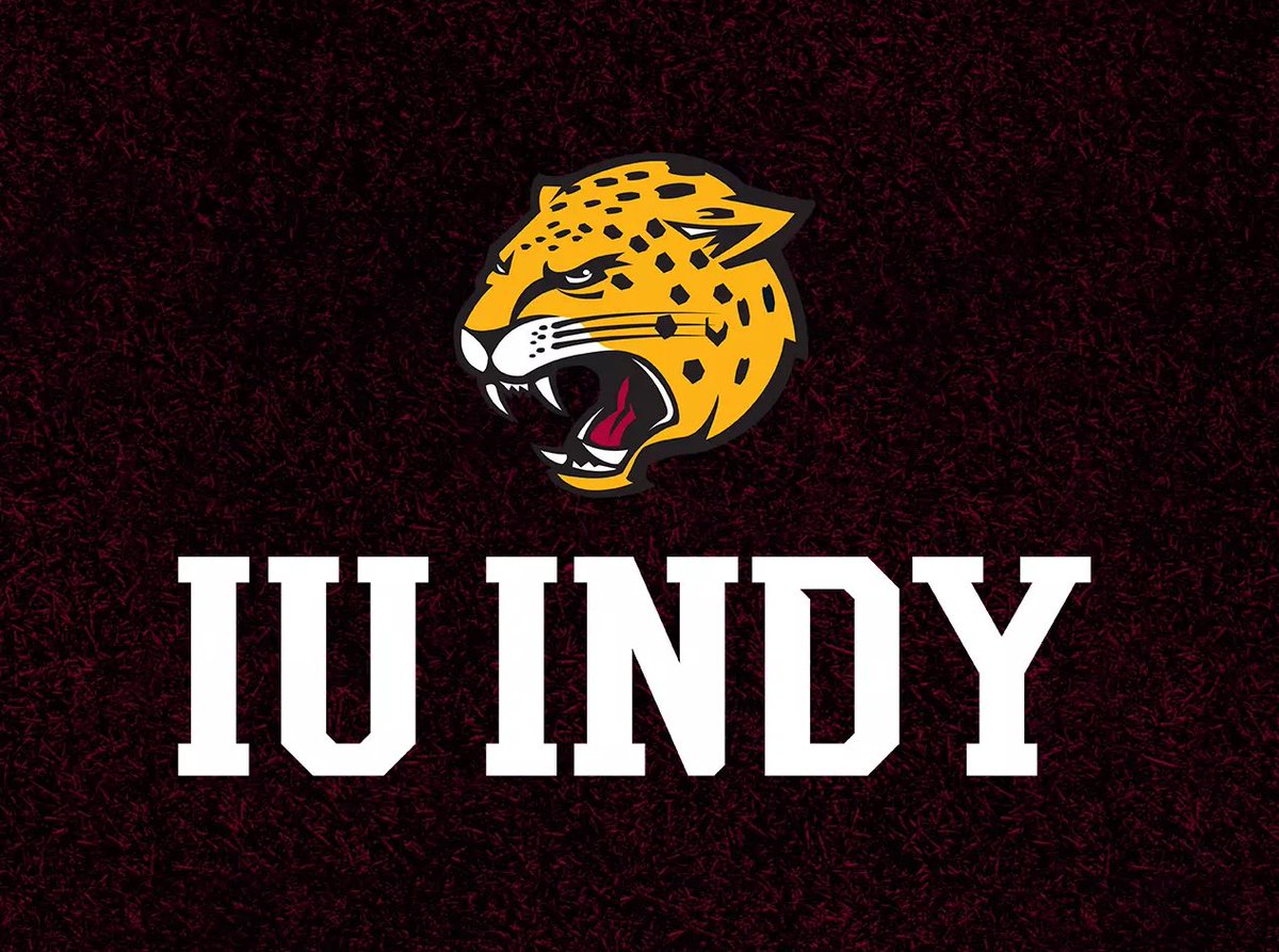 Lav Cvetković tweet media