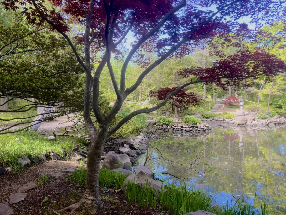 Murphy,Ashley tweet media