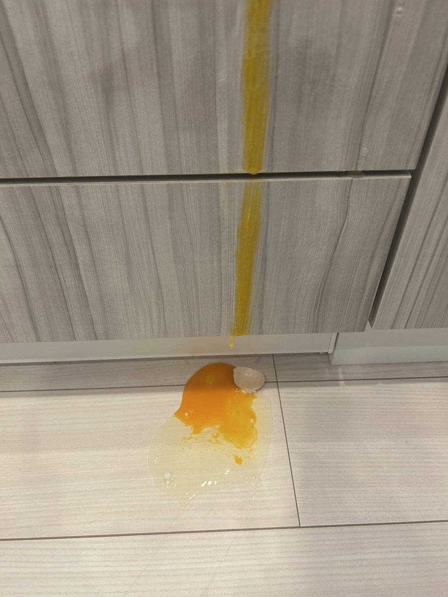 pccm_msc's tweet image. My morning mess. The last egg in the fridge😭　朝からこの惨状。。