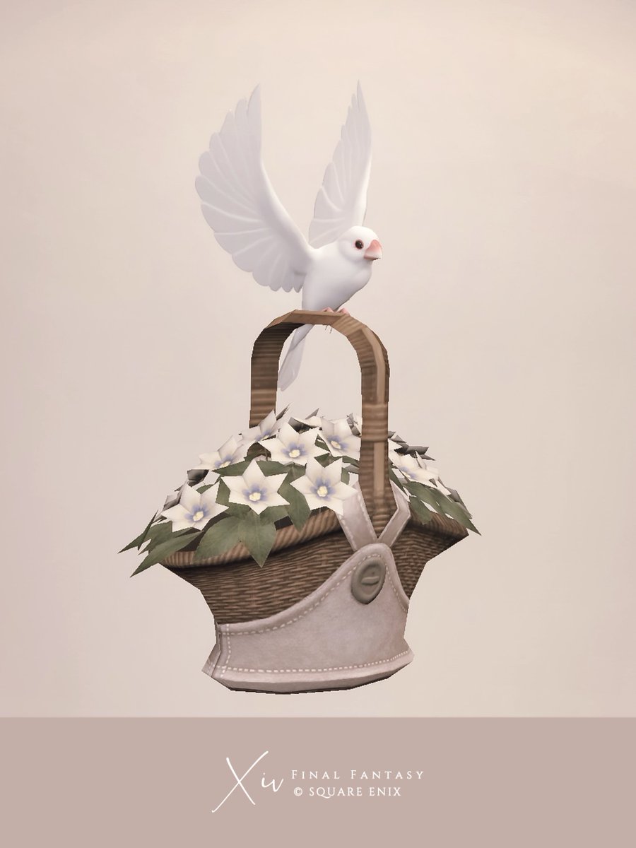 ss_photo_'s tweet image. 文鳥のミニオンが可愛すぎる🕊️
