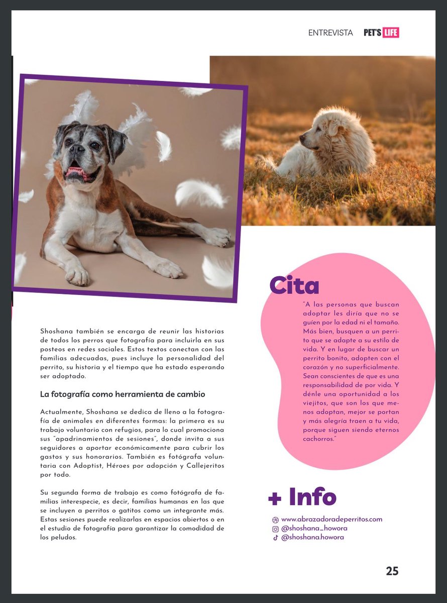 Hace unas semanas .<a href="/PetsLmx/">Pet's Life Community</a> me realizó una entrevista 

Soy fotógrafa animal y mes con mes retrato más de 30 perros en adopción 🥹♥️ una foto puede cambiar una vida