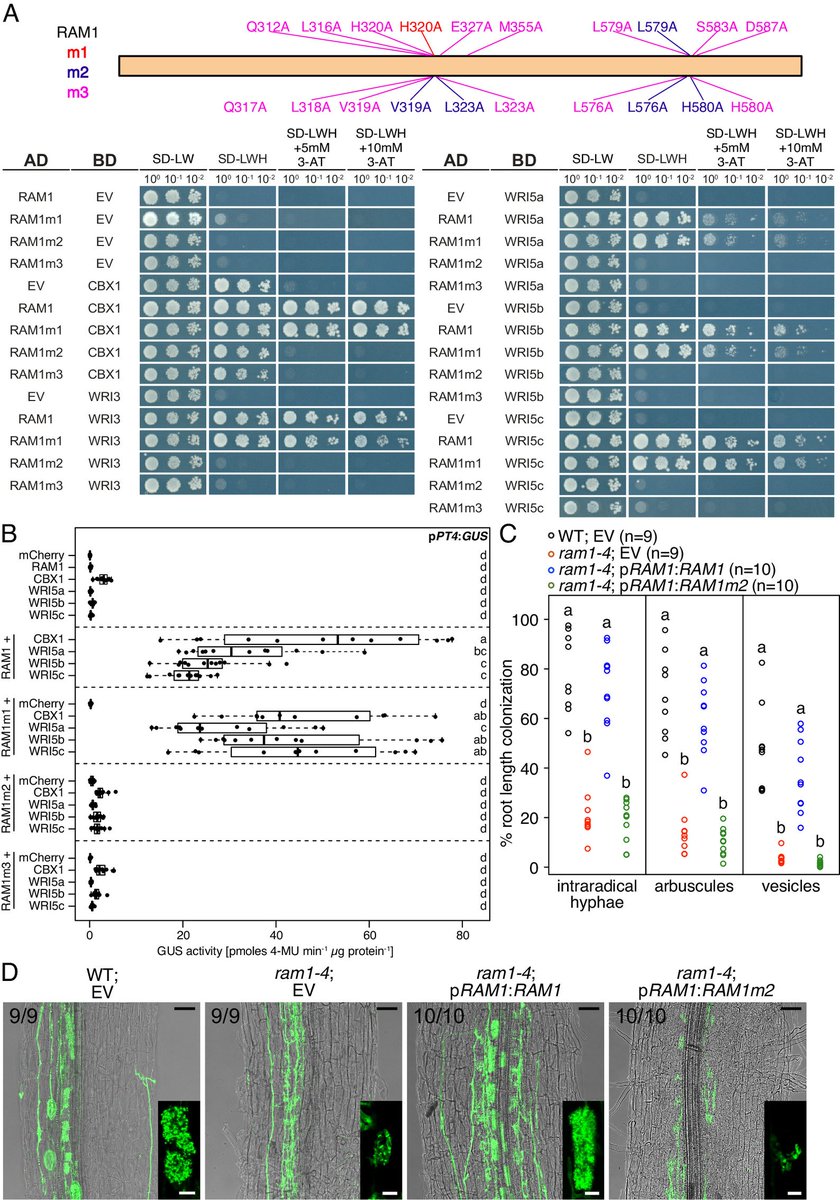 Steve Marek tweet media