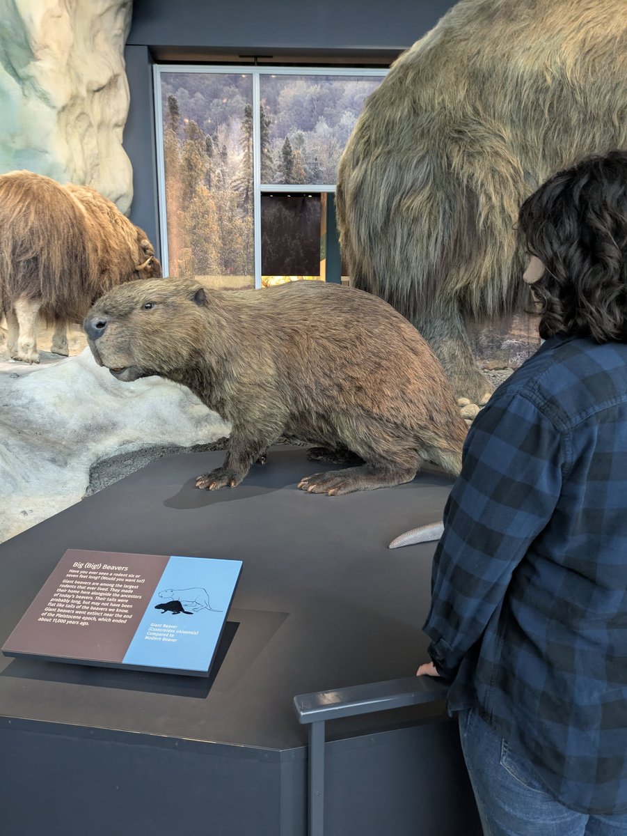 「Sox Shimiki」 tweet media