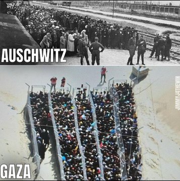 Humanity Failed Again💔