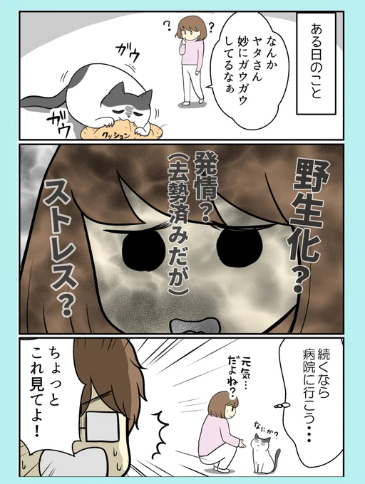 ある日猫がやたらガウガウしてた
理由がこちらです(1/2)

#猫漫画 