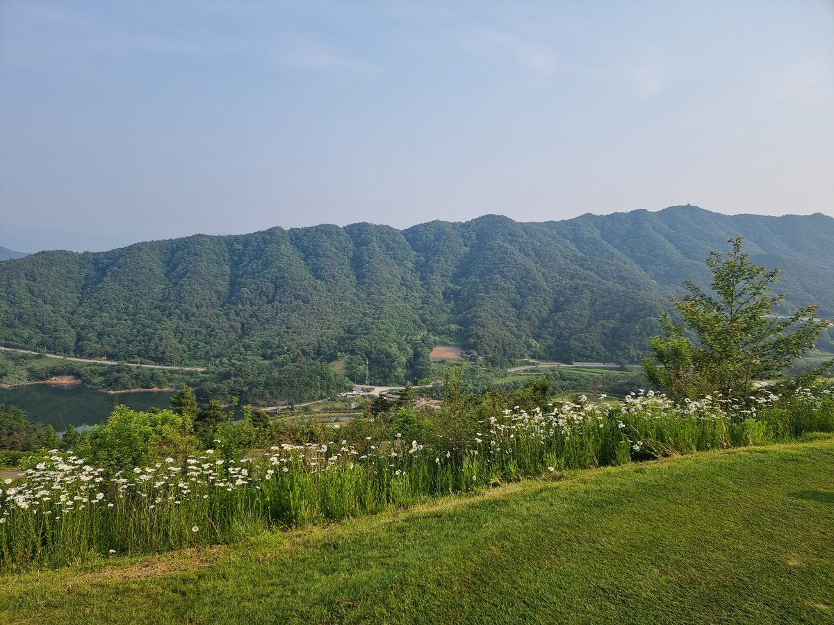 쿠폰 사용전에 오면 안되는데..흠
두개가될지 0이될지..