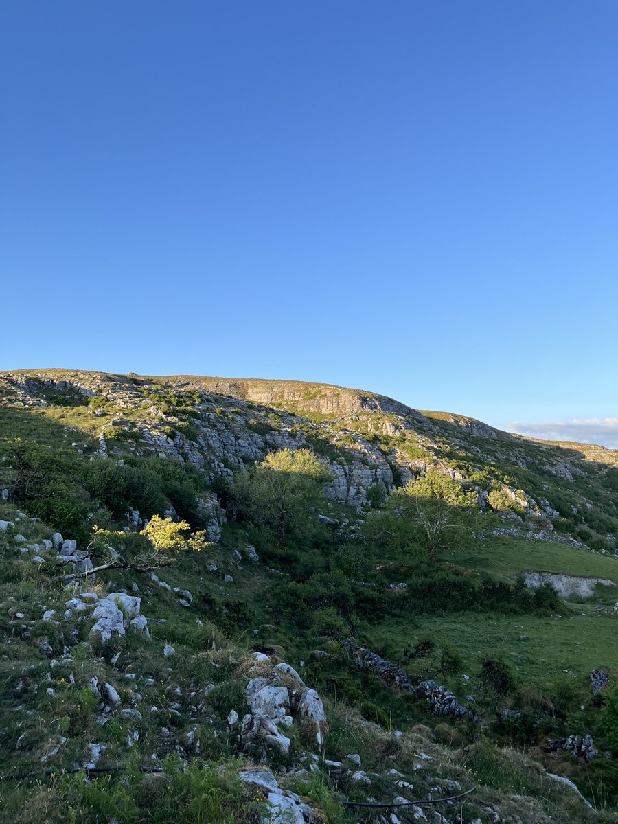Got up to the Glen of Clab before the recent rain and wind. No peregrine this time but plenty of other birds. #burren