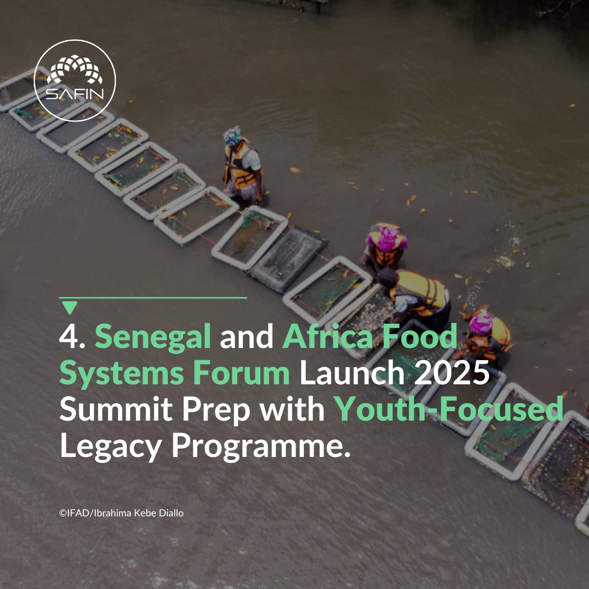 SAFIN (@safin_network) on Twitter photo Senegal and Africa Food Systems Forum Launch 2025 Summit Preparations with Youth-Focused Legacy Programme.
agra.org/news/senegal-a… Senegal and Africa Food Systems Forum Launch 2025 Summit Preparations with Youth-Focused Legacy Programme.
agra.org/news/senegal-a…